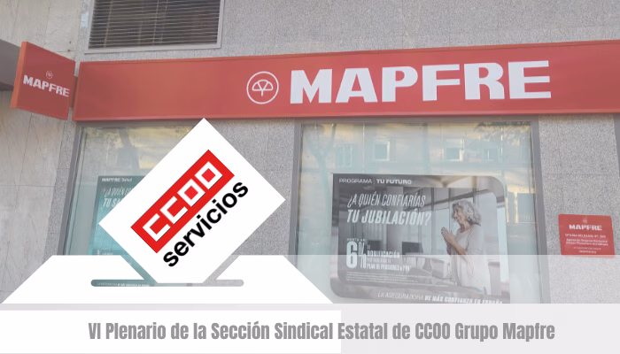 VI Plenario de la Sección Sindical Estatal de CCOO Grupo Mapfre